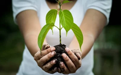 Przedszkole jako początek edukacji domowej? Jak przygotować grunt pod przyszłe decyzje edukacyjne